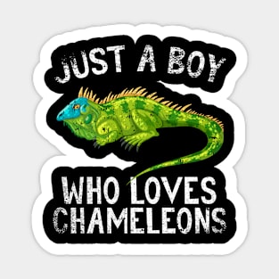 Just A Boy Who Loves Chameleons Sticker